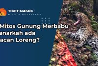 5 Mitos Gunung Merbabu