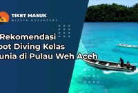 7 Rekomendasi Spot Diving Kelas Dunia di Pulau Weh Aceh