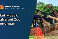 Tiket Masuk Maharani Zoo Lamongan