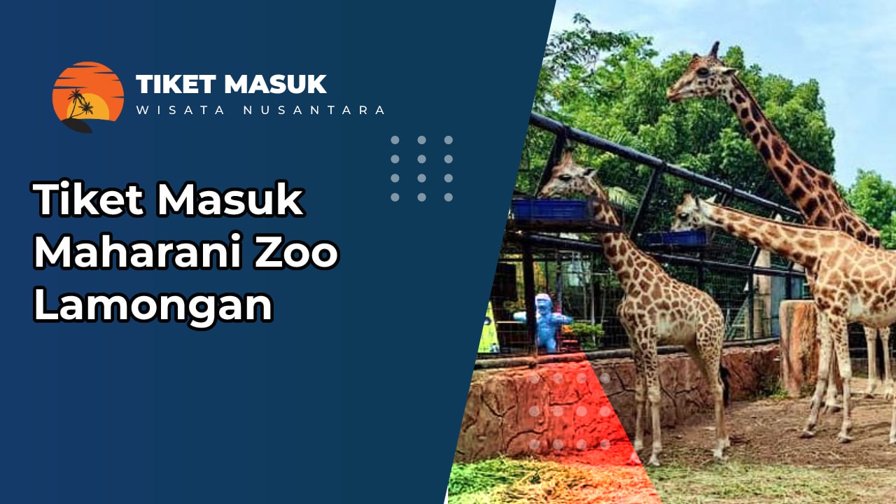 Tiket Masuk Maharani Zoo Lamongan