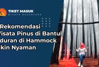 6 Rekomendasi Wisata Pinus di Bantul