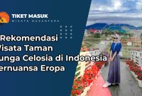 8 Rekomendasi Wisata Taman Bunga Celosia di Indonesia