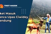 Tiket Masuk Ranca Upas Ciwidey Bandung