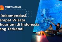 7 Rekomendasi Tempat Wisata Aquarium di Indonesia yang Terkenal