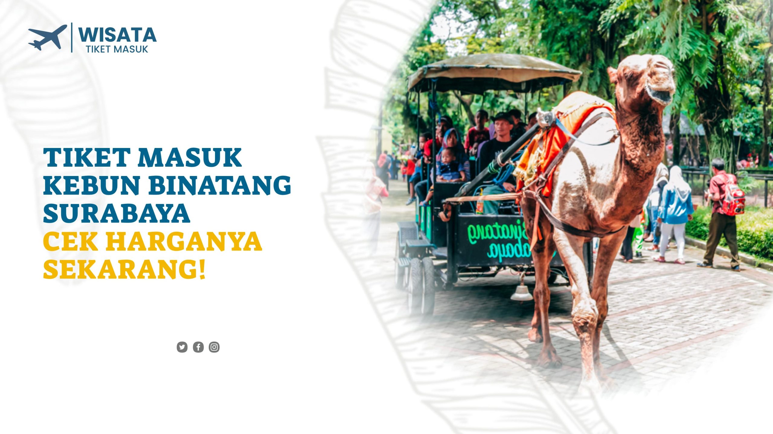Tiket Masuk Kebun Binatang Surabaya